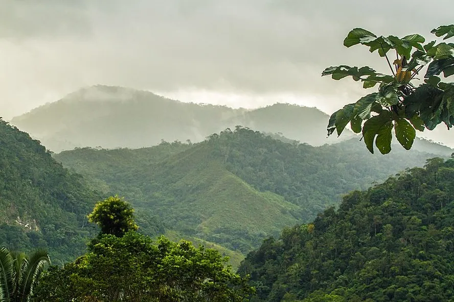 Proteção Insuficiente: Áreas de Alta Biodiversidade em Zonas Protegidas Sofrem Degradação Acelerada