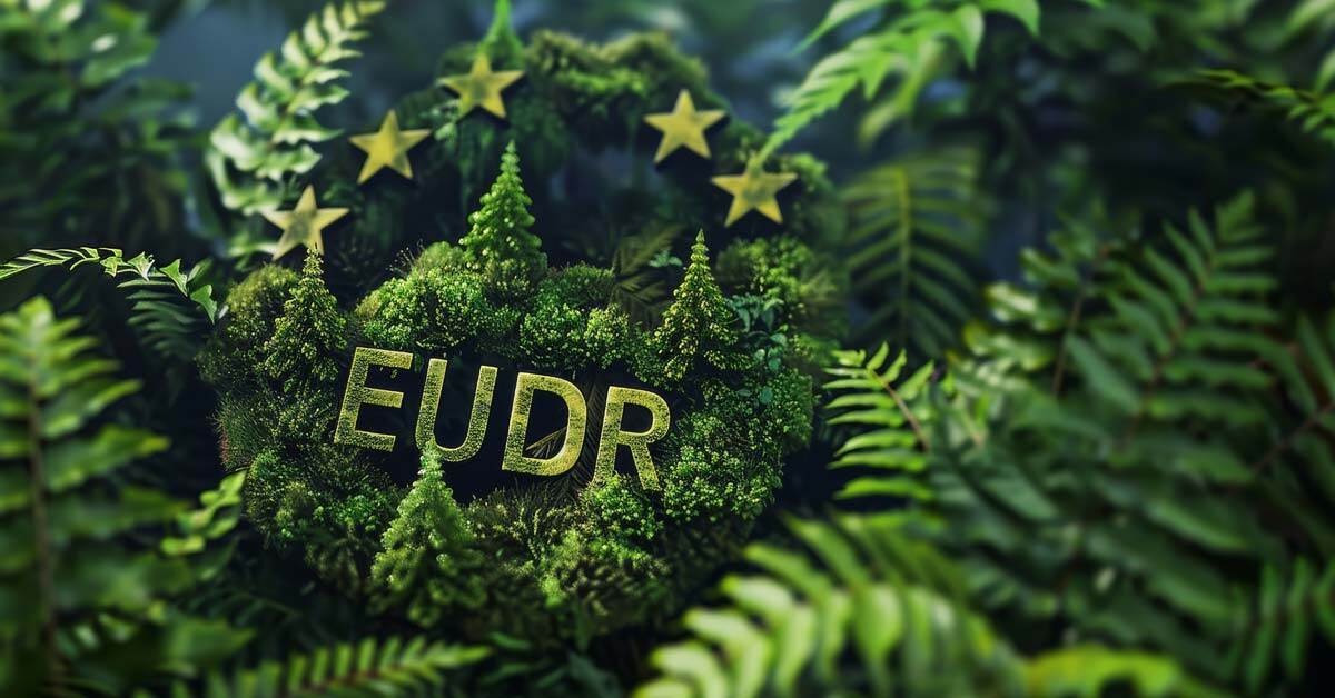 Comissão Europeia propõe adiamento da própria da Lei Antidesmatamento