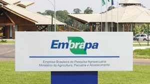 Concurso Embrapa 2024 com 1.027 vagas para assistente, técnico, analista e pesquisador