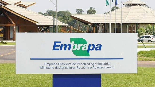 Concurso Embrapa 2024: 1.027 Vagas Imediatas e Novas Oportunidades para Todas as Escolaridades