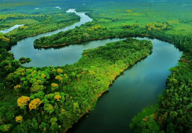 Qual a importância das Matas Ciliares para a biodiversidade Brasileira?