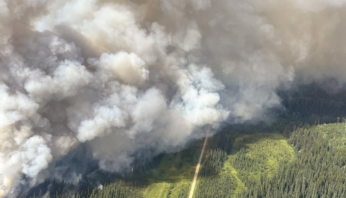 Devido à incêndios florestais as emissões de carbono aumentaram 60% entre 2001 e 2023