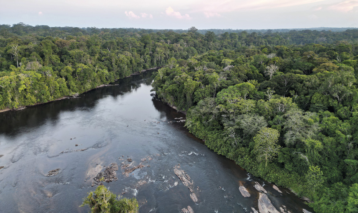 Perda de vegetação da Amazônia é um dano que vai além daquele causado à floresta ou à agricultura