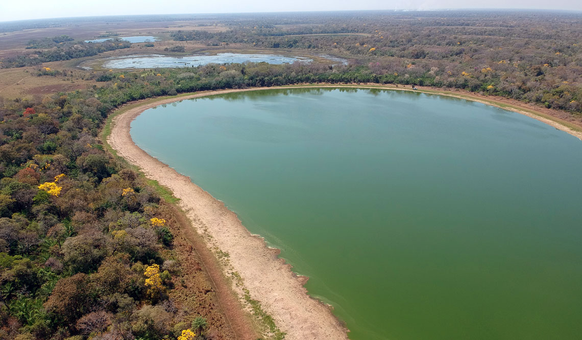 Mudança do clima afeta a vida microscópica em lagoas do Pantanal