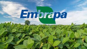 Edital da EMBRAPA 2024 com Vagas para Pesquisador"