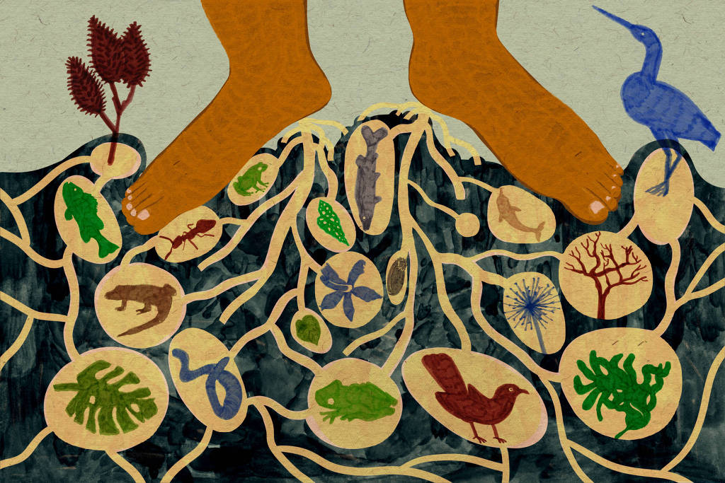 As Consequências da Lei Marco Temporal para a Biodiversidade e o Clima no Brasil