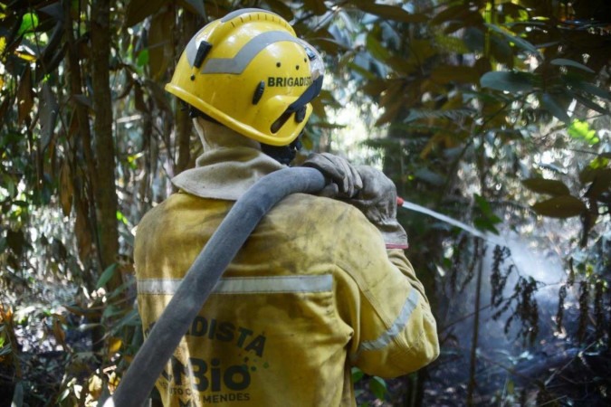 ICMBio abre inscrições para agente temporário; saiba como participar