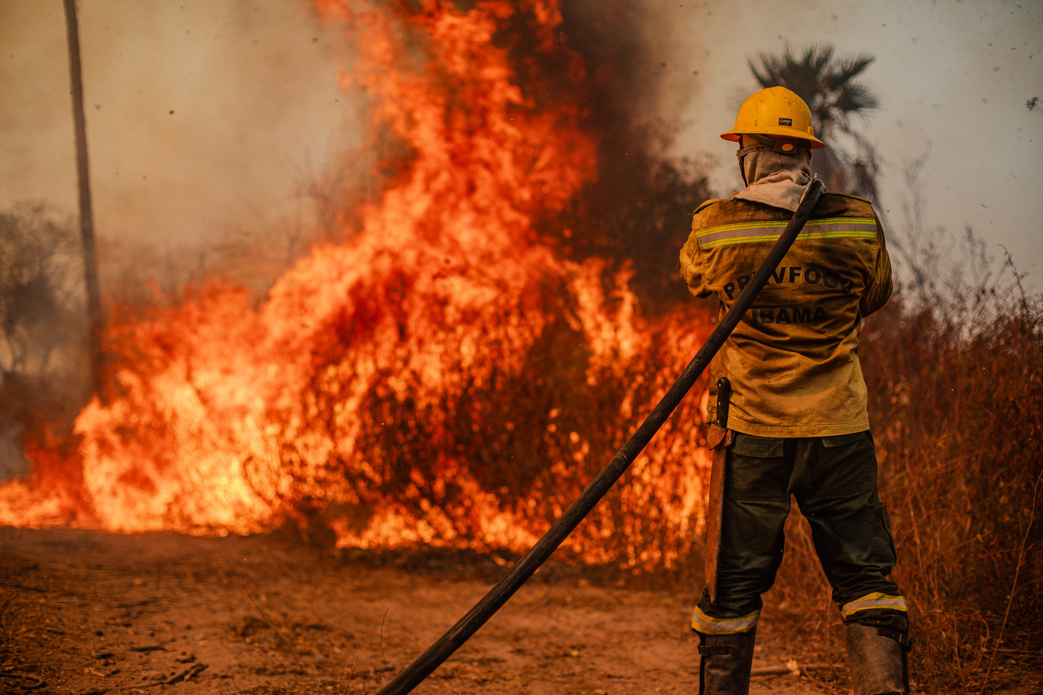 As duas secas: Como a escassez de chuvas e a redução da umidade do solo intensificam os incêndios na Amazônia
