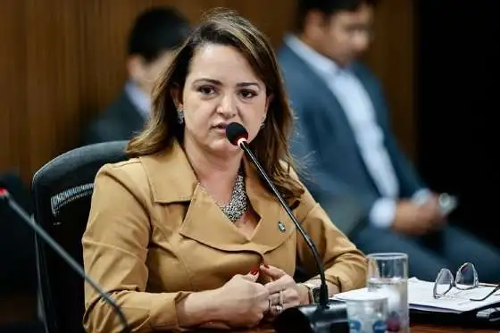 Secretária de Meio Ambiente Defende Veto ao PLC que Pode Aumentar Desmatamento em Áreas Protegidas em Mato Grosso