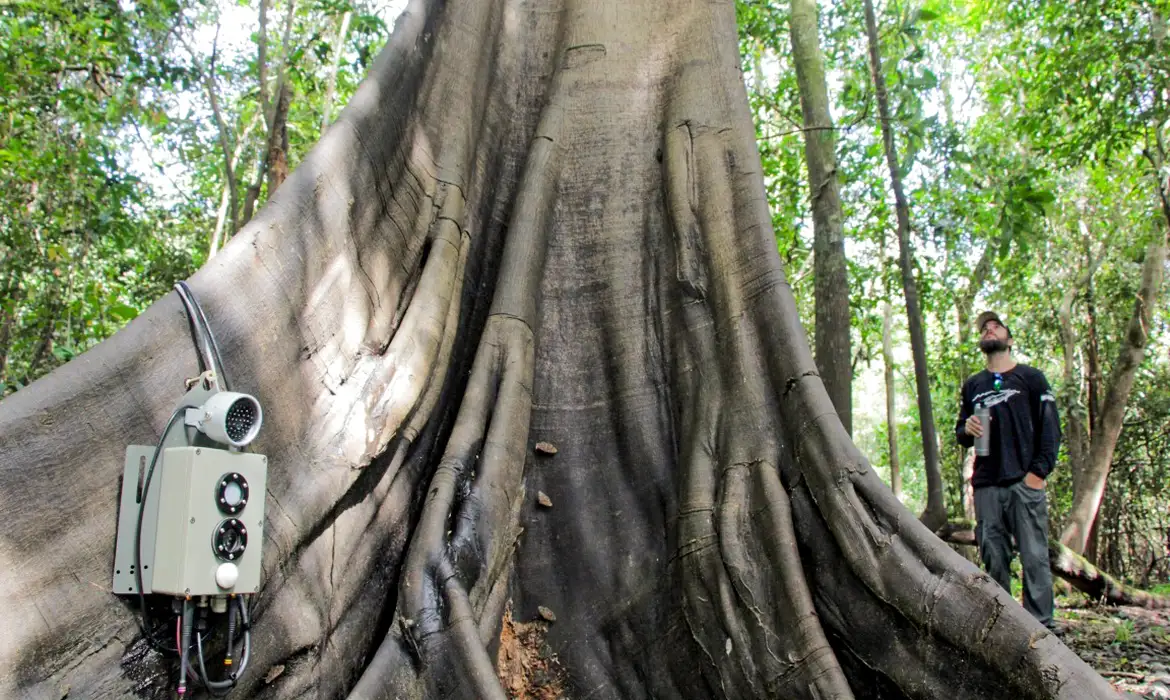 Tecnologias Revolucionam o Monitoramento da Biodiversidade, Árvores e Ar da Amazônia