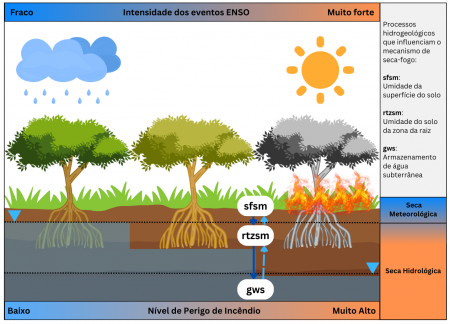 El Niño agrava impacto da seca em águas subterrâneas na Amazônia e eleva risco de incêndio, constata estudo