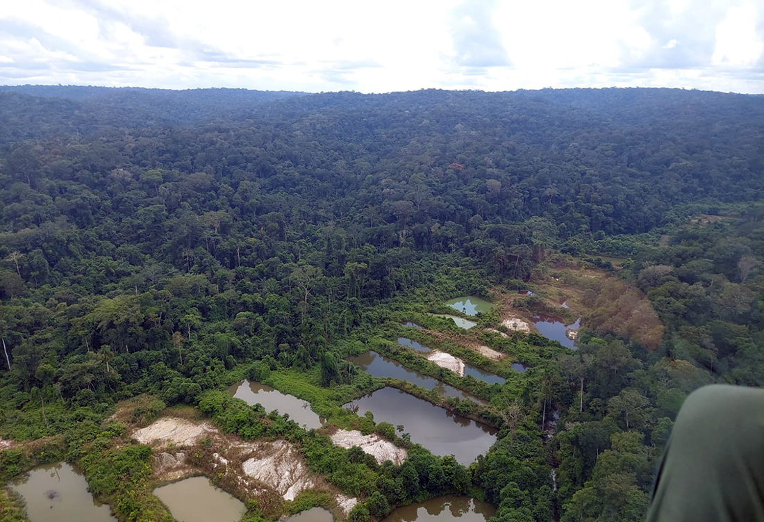 Alerta Vermelho na Amazônia: Degradação Ambiental Dispara e Ameaça o Futuro do Brasil