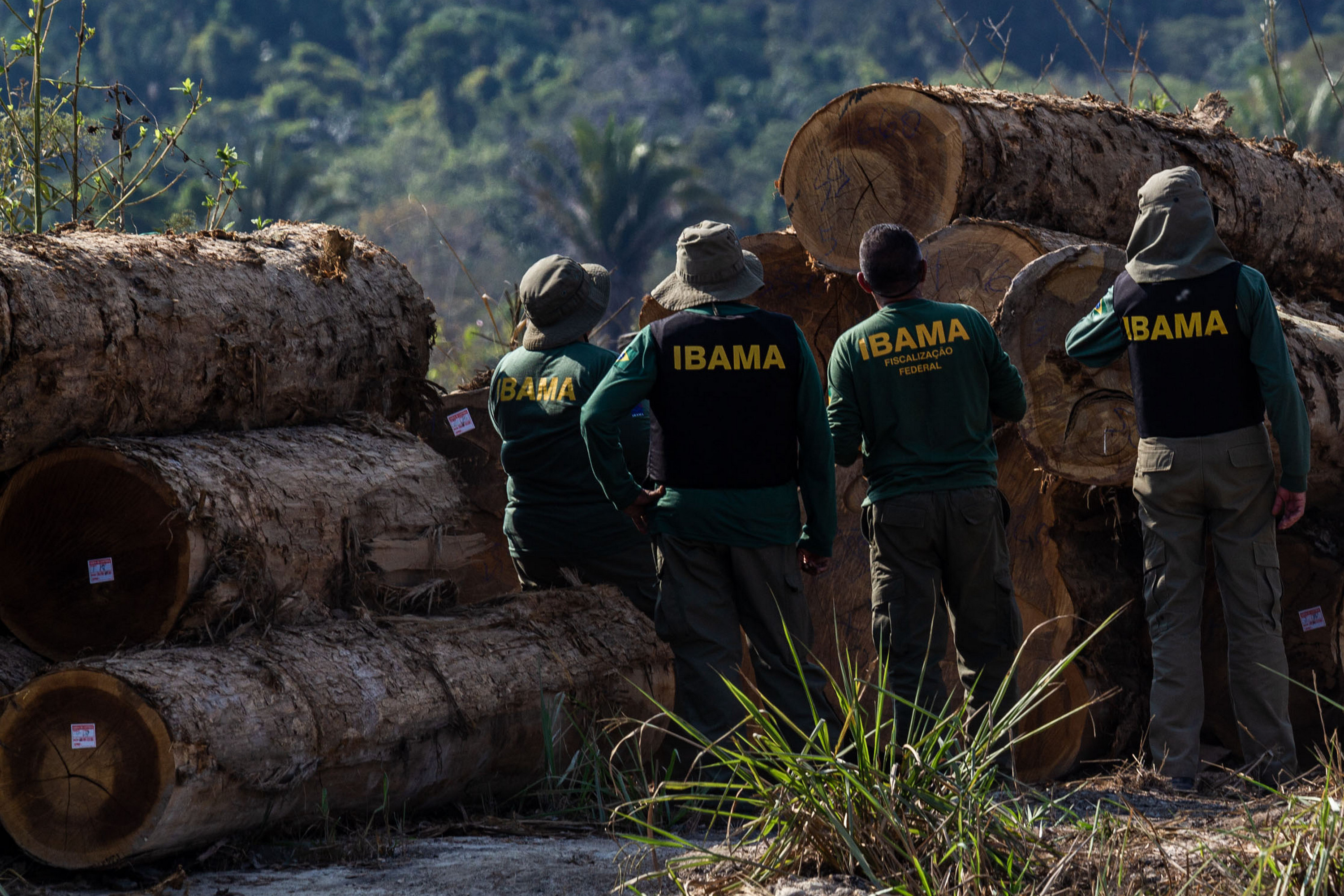 A importância da análise de redes de comércio madeireiro para o controle do desmatamento na Amazônia