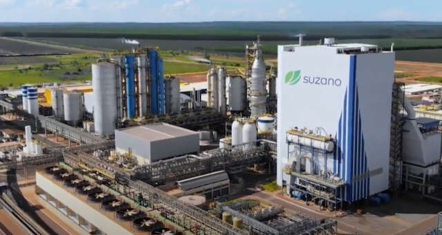 Suzano e Marvin: Parceria Estratégica para Inovação e Sustentabilidade