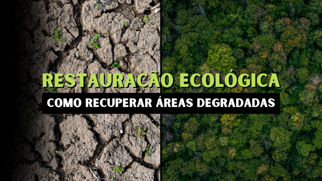 Restauração ecológica