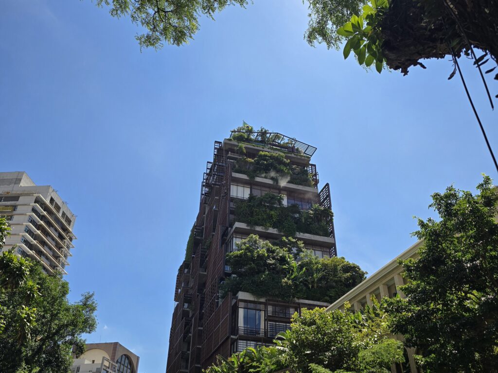 Arborização urbana em São Paulo por Arthur Brasil.