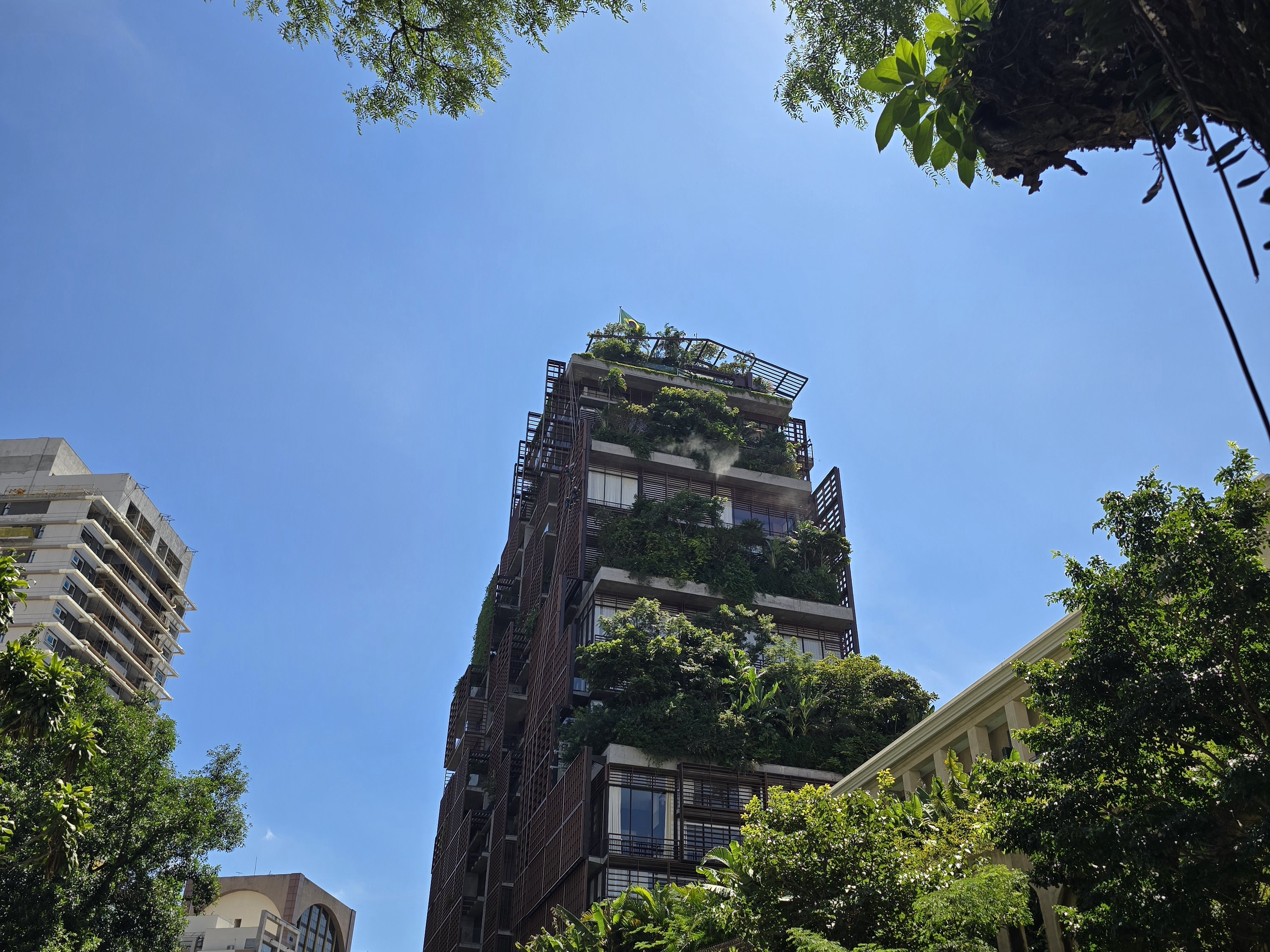 Plano Nacional de Arborização Urbana (PlaNAU): rumo a cidades mais verdes e sustentáveis