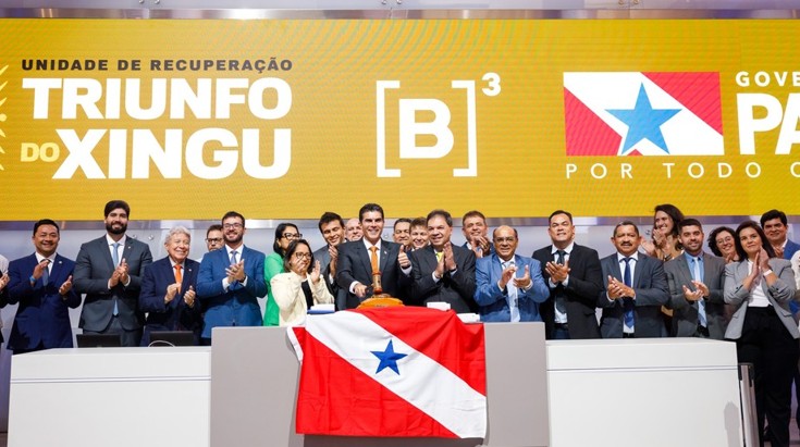 Systemica vence primeiro leilão para reflorestamento em área degradada no Pará