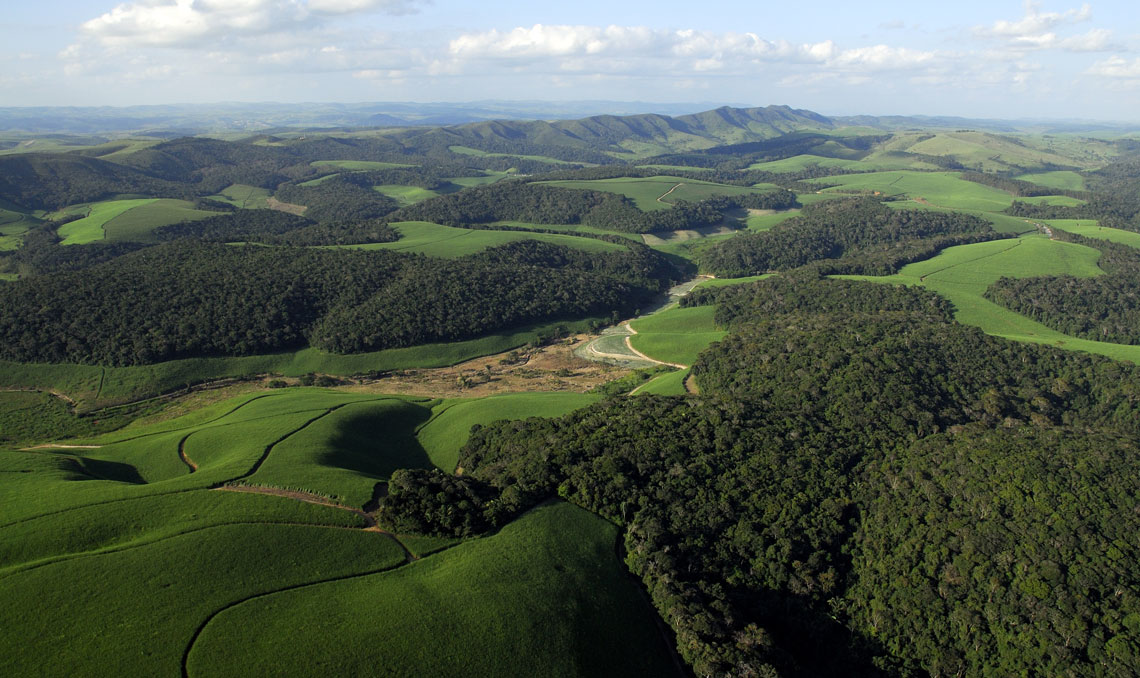 Um ponto-final na dúvida: florestas contínuas conservam mais biodiversidade que áreas florestais fragmentadas