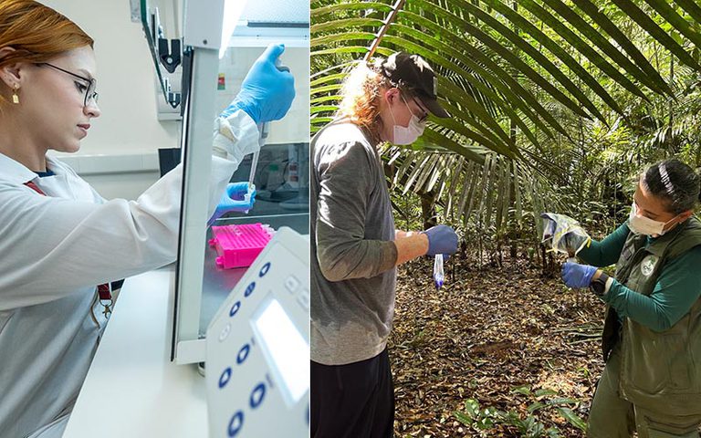sequenciamento genético da fauna brasileira