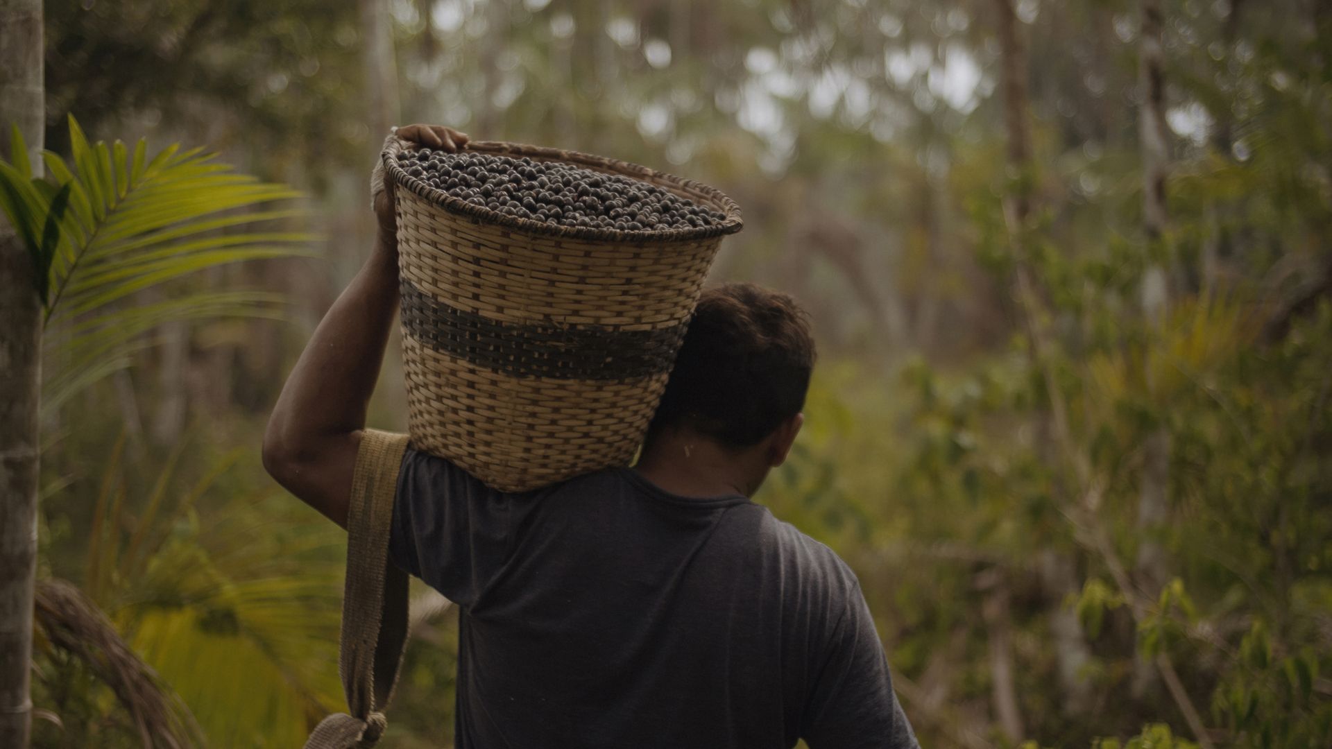 Sem os povos da floresta, sem futuro: não existe bioeconomia sem justiça social