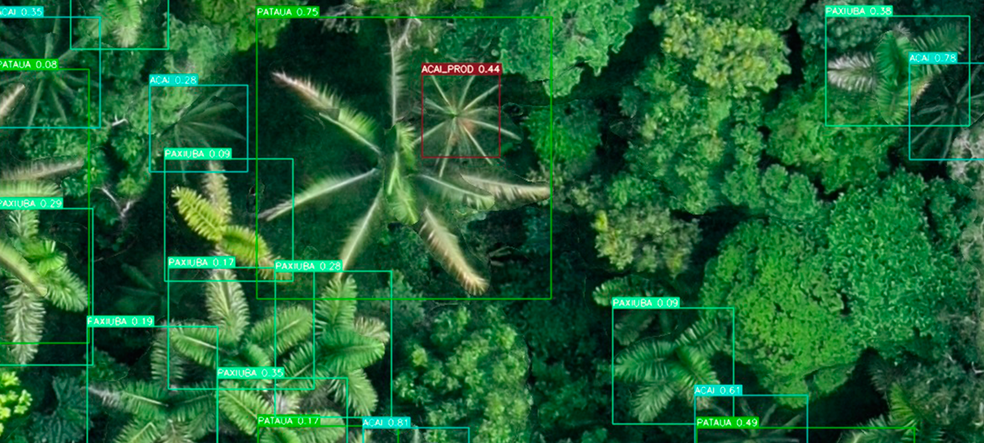 Inteligência artificial brasileira mapeia 3.500 hectares da Amazônia em apenas um dia