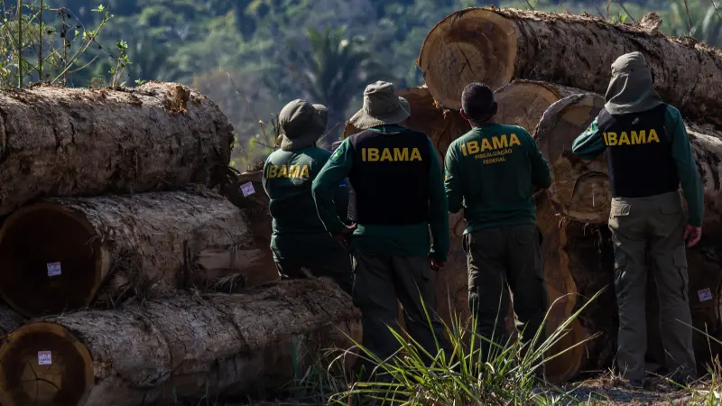 A importância da análise de redes de comércio madeireiro para o controle do desmatamento na Amazônia