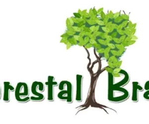 Analista Ambiental