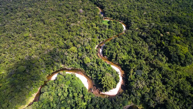 Alemanha deve revelar aporte ao Fundo de Florestas na reta final da COP30