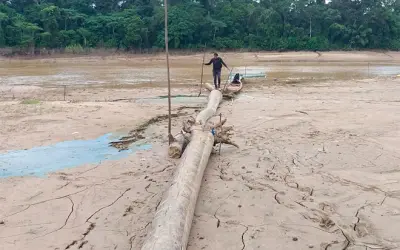Amazonas deverá ter seca pior do que em 2023