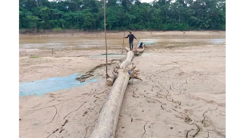 Amazonas deverá ter seca pior do que em 2023