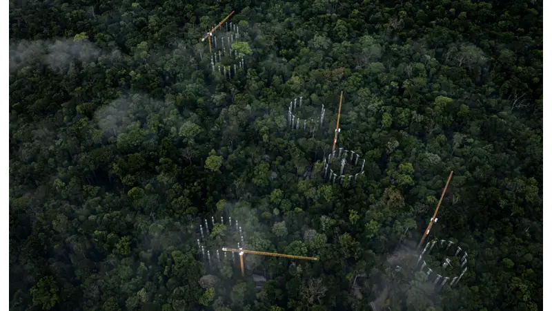 AmazonFACE: experimento vai simular a atmosfera do futuro para descobrir como a Amazônia reage a mais CO₂