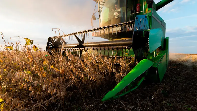Biopesticidas ganham espaço no Brasil