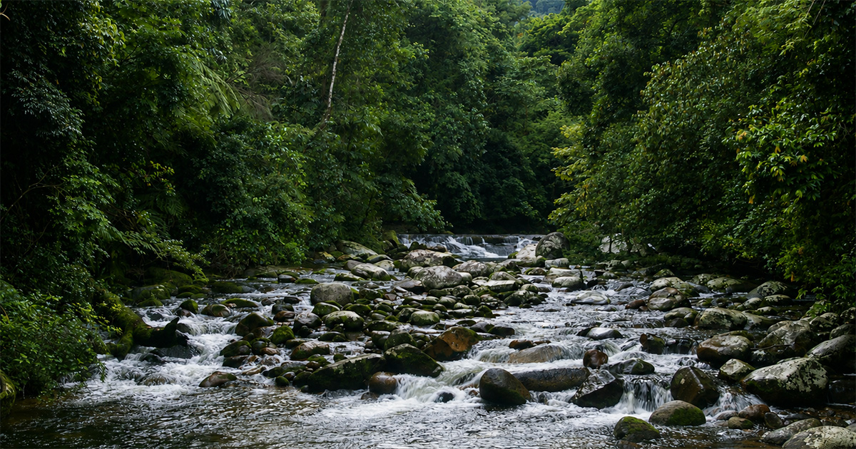 Os primeiros exemplares da esp&eacute;cie foram encontrados em 2014, no Parque Estadual da Serra do Mar, no N&uacute;cleo Picinguaba, em Ubatuba &ndash; Foto: Milton Groppo