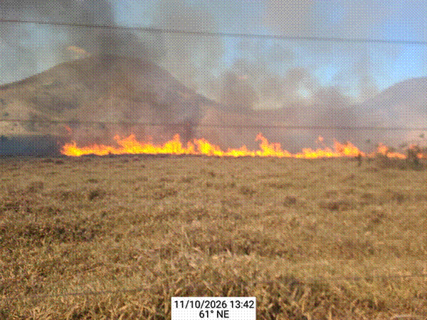 T&iacute;tulo: Fogo avan&ccedil;ando sobre &aacute;rea de capim em 11 de outubro de 2026. Foto: Projeto H&atilde;mhi Terra Viva - Descri&ccedil;&atilde;o: Fogo avan&ccedil;ando sobre &aacute;rea de capim em 11 de outubro de 2026. Foto: Projeto H&atilde;mhi Terra Viva