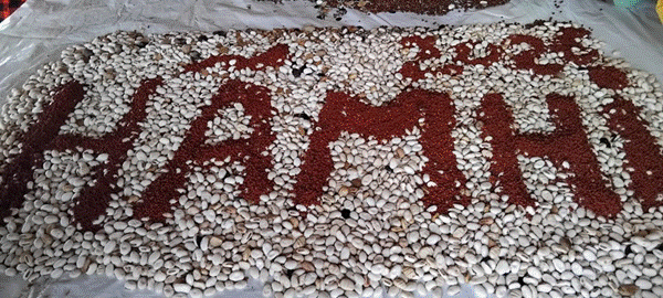 T&iacute;tulo: A palavra H&atilde;mhi escrita com sementes. Foto: Projeto H&atilde;mhi Terra Viva - Descri&ccedil;&atilde;o: A palavra H&atilde;mhi escrita com sementes. Foto: Projeto H&atilde;mhi Terra Viva