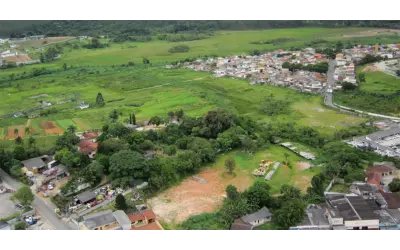 Bordas urbanas de São Paulo podem recuperar mais de 400 mil hectares de vegetação
