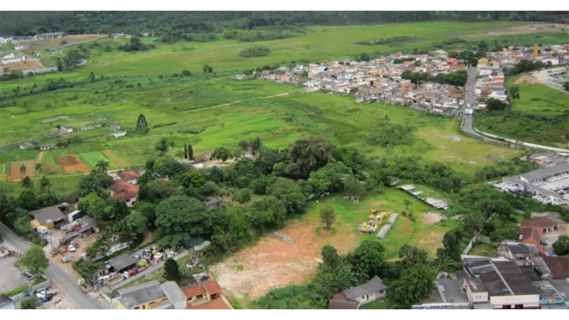 Bordas urbanas de São Paulo podem recuperar mais de 400 mil hectares de vegetação