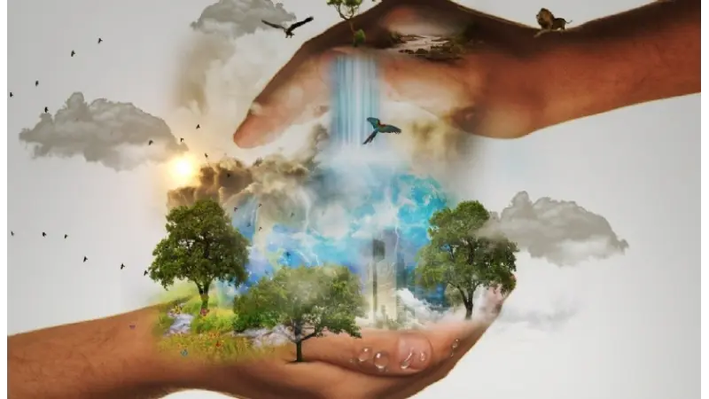 Câmara aprova realização de campanha de educação ambiental em junho