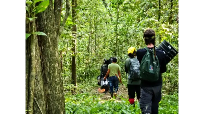 Cientistas avaliam como répteis e anfíbios lidam com mudança climática em ilha de Roraima