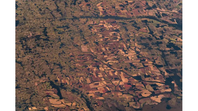 Cientistas querem banir o termo “savanização” para colapso da Amazônia