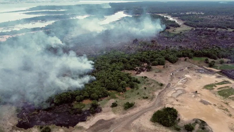Desmatamento e aquecimento global transformam o clima da Amazônia
