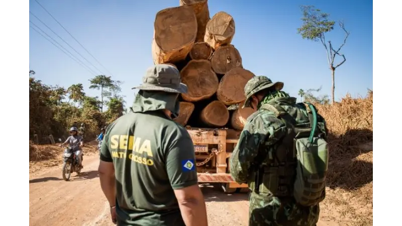Com investimentos em tecnologia e ações estruturantes, MT está invertendo a curva do desmatamento ilegal, afirma secretária de Meio Ambiente