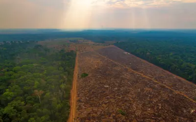 Desmatamento da Amazônia no Brasil sobe 22% e atinge maior alta em 15 anos
