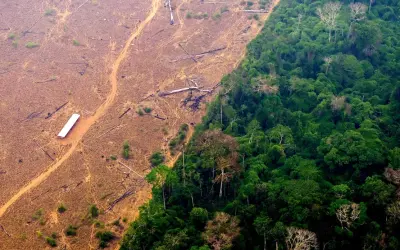 Desmatamento na Amazônia cai 63% no primeiro bimestre, mas os problemas continuam