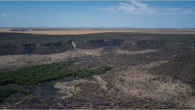 Desmatamento no Brasil em 2023: Cerrado lidera e Matopiba se destaca