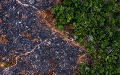 Enfrentar conjuntamente crises da biodiversidade, do clima e da desertificação será um jogo de ganha-ganha