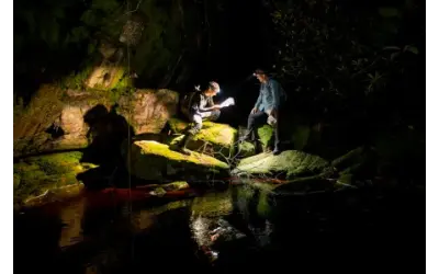 Expedição científica alcança topo isolado da Serra do Aracá para mapear biodiversidade amazônica