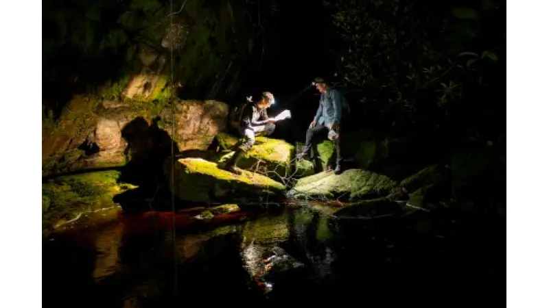 Expedição científica alcança topo isolado da Serra do Aracá para mapear biodiversidade amazônica
