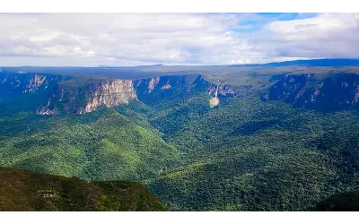 Expedição científica vai explorar montanhas isoladas da Amazônia em busca de espécies desconhecidas
